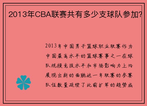 2013年CBA联赛共有多少支球队参加？