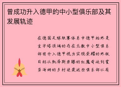 曾成功升入德甲的中小型俱乐部及其发展轨迹